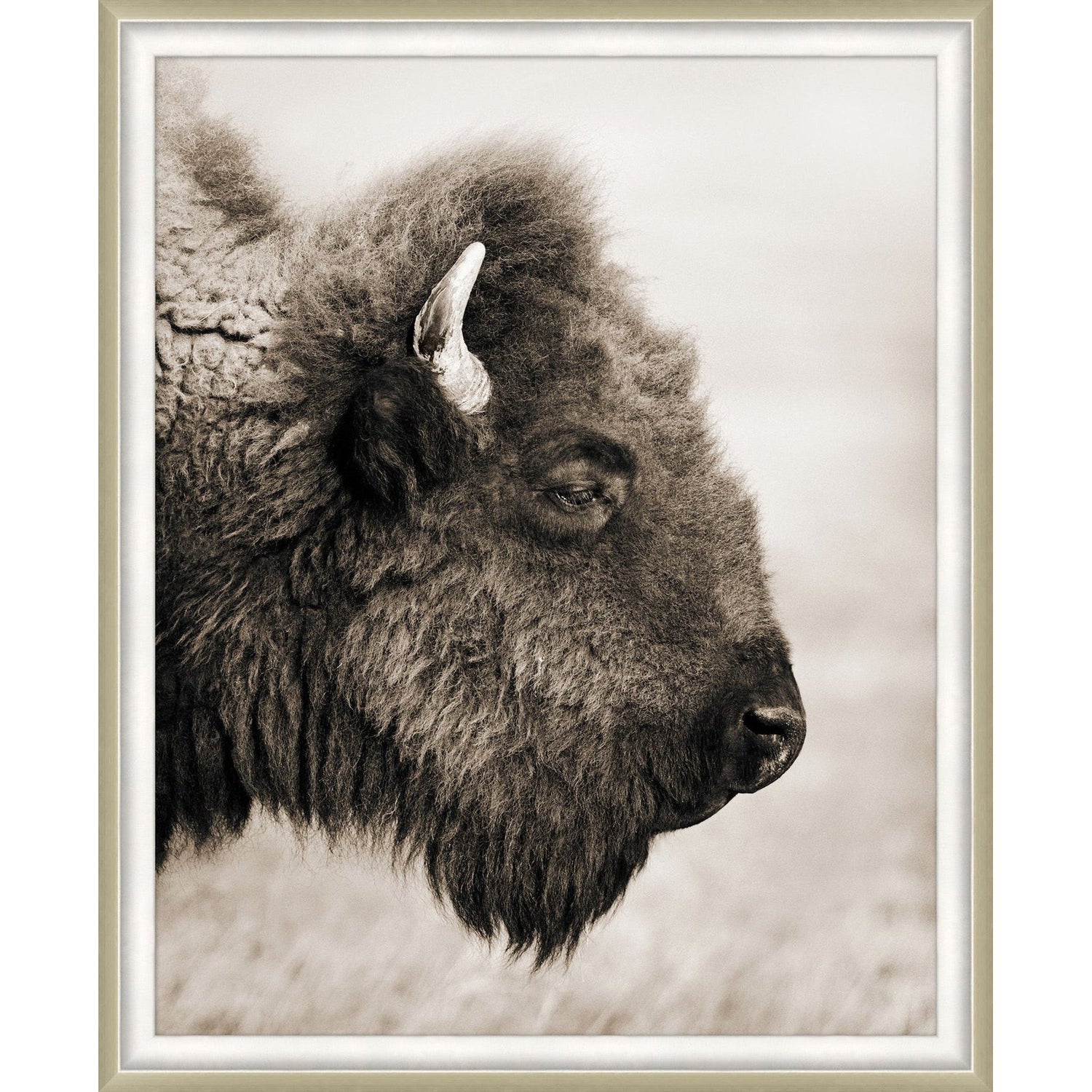 Wendover, Badlands Bison