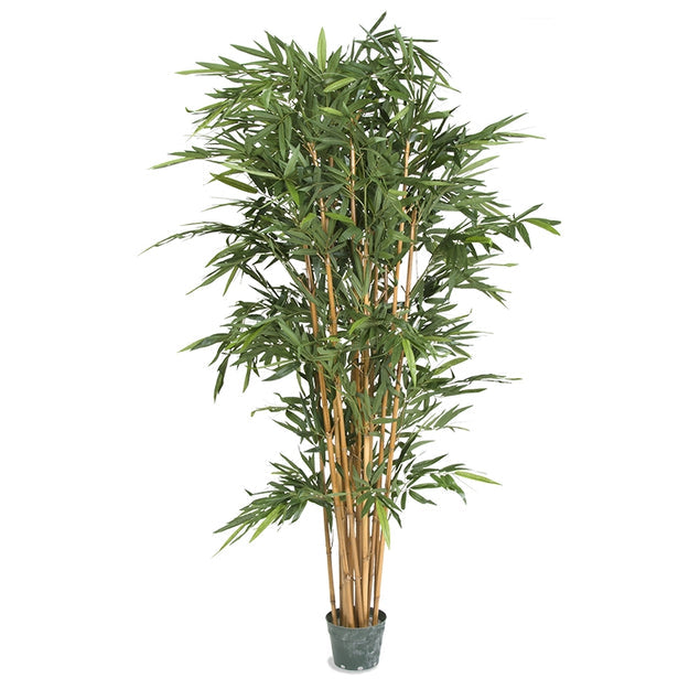 Gold Leaf Design Group, Bamboo Tree 84"H Potted