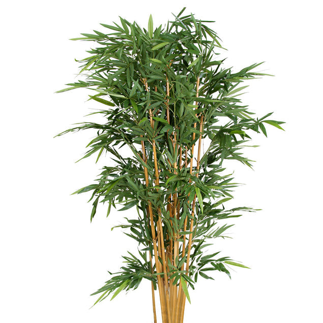 Gold Leaf Design Group, Bamboo Tree Poles w/Foliage, Unpotted 7"