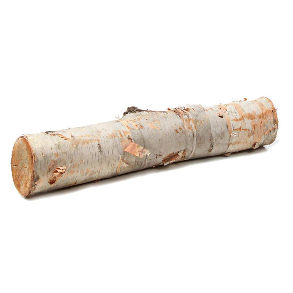 Gold Leaf Design Group, Birch Log 15"L x 4-6"D - set of 2