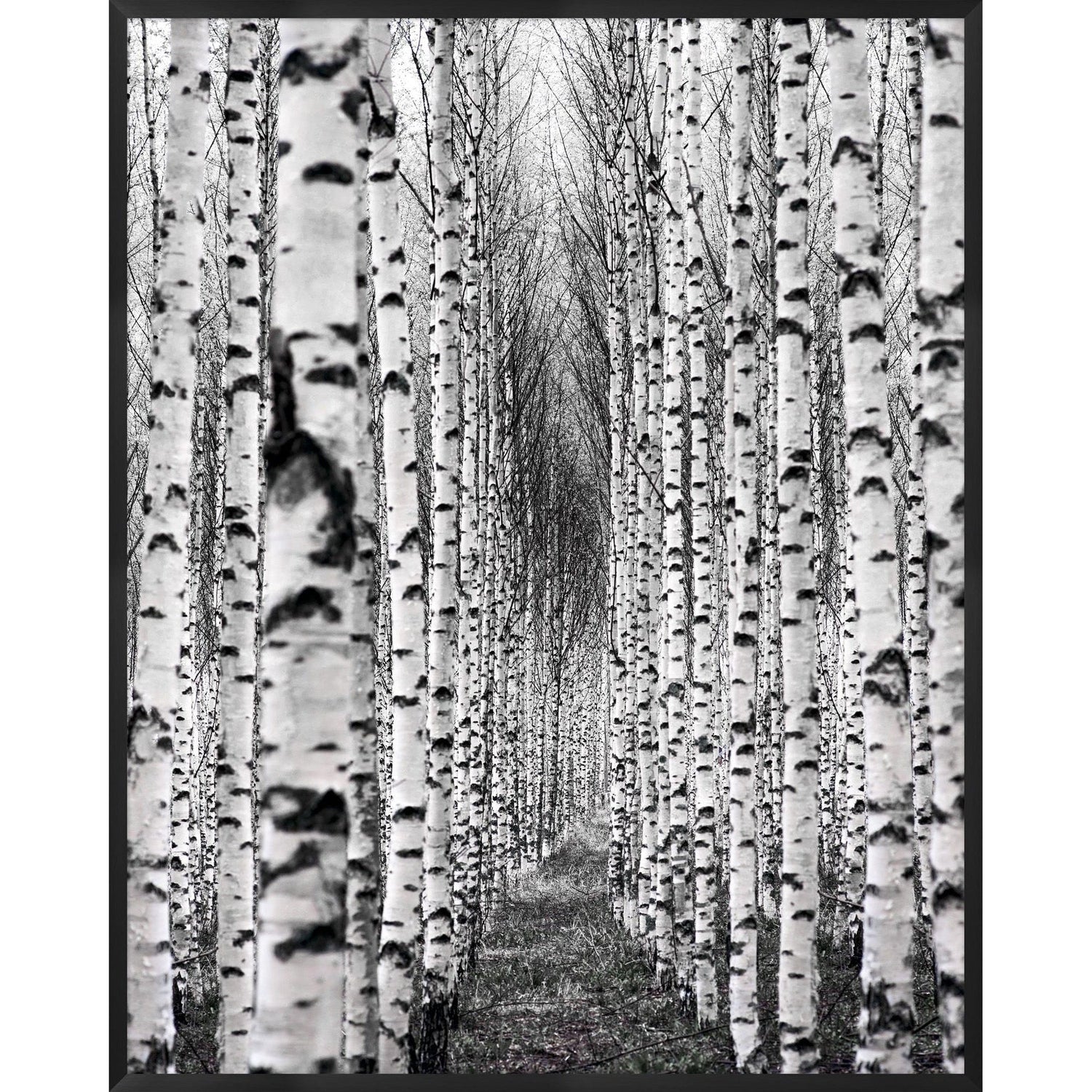 Wendover, Birch Pathway