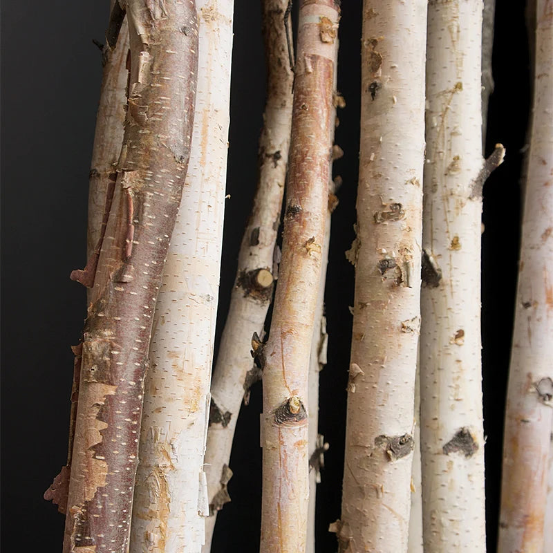 Gold Leaf Design Group, Birch Poles Natural 6'x 1-2" - set of 12