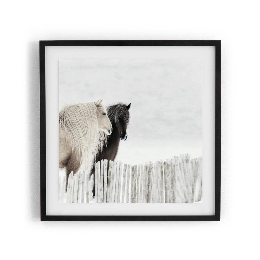 FASart, Black and White Serenity - Limited Edition Print