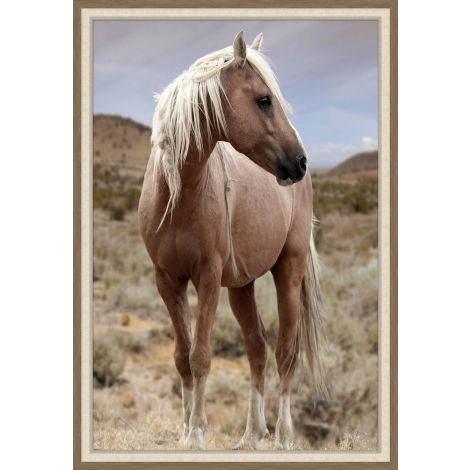 Wendover, Blonde Stallion