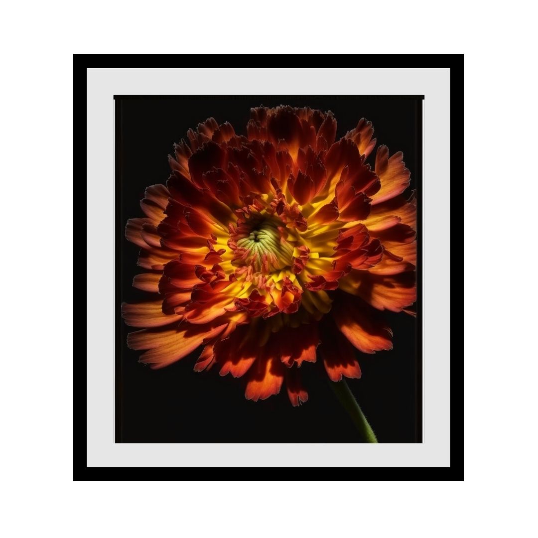 FASart, Blooming Allegiance: The Symbolic Beauty of Chrysanthemum - Limited Edition Print