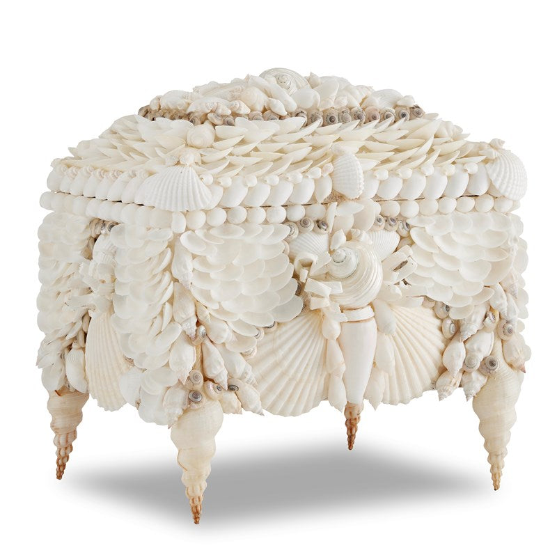 Currey, Boardwalk Shell Jewelry Box