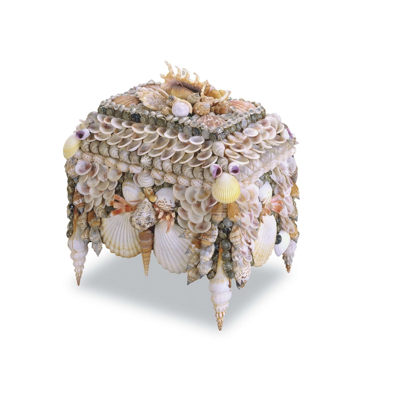 Currey, Boardwalk Shell Jewelry Box