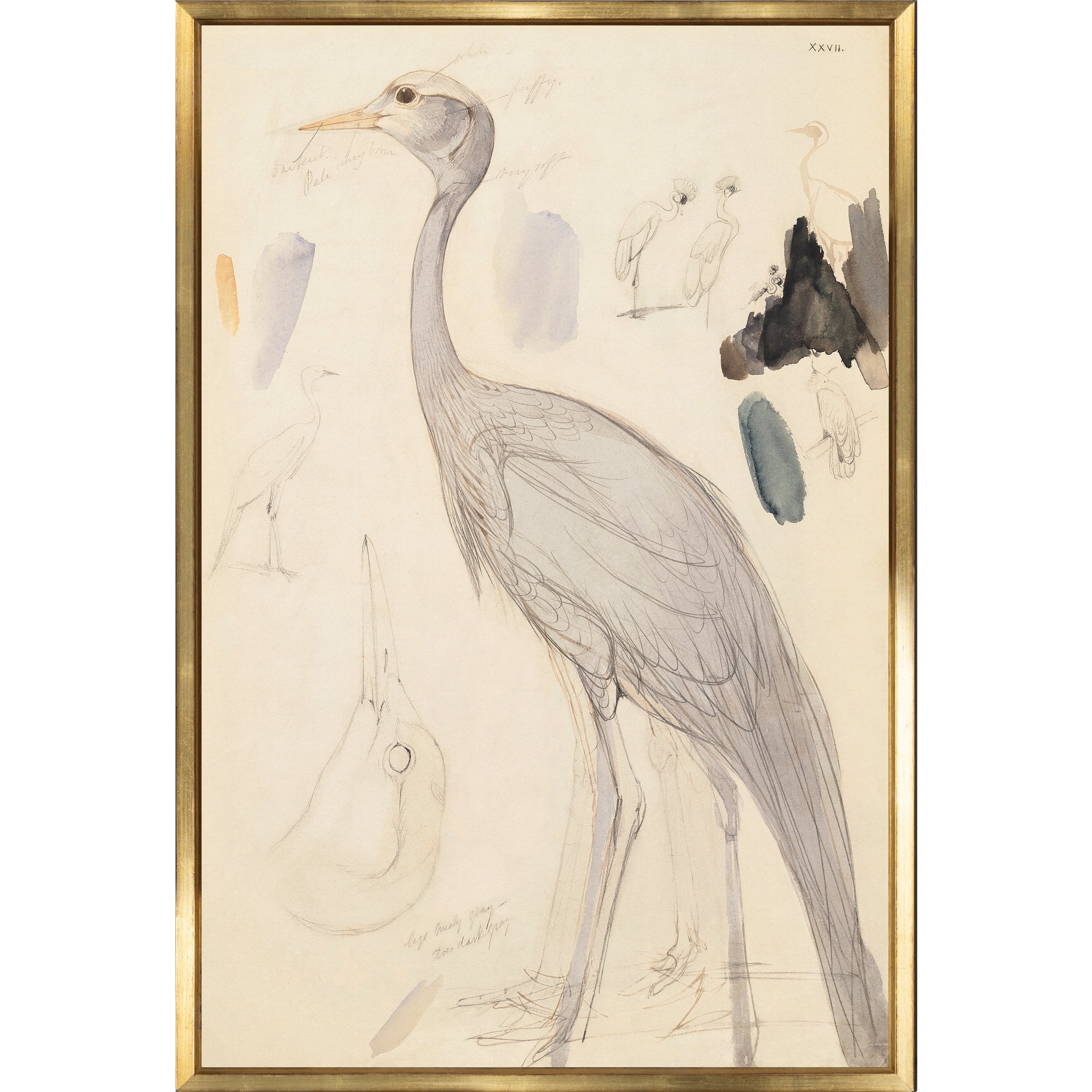 Celadon Art, Crane Study