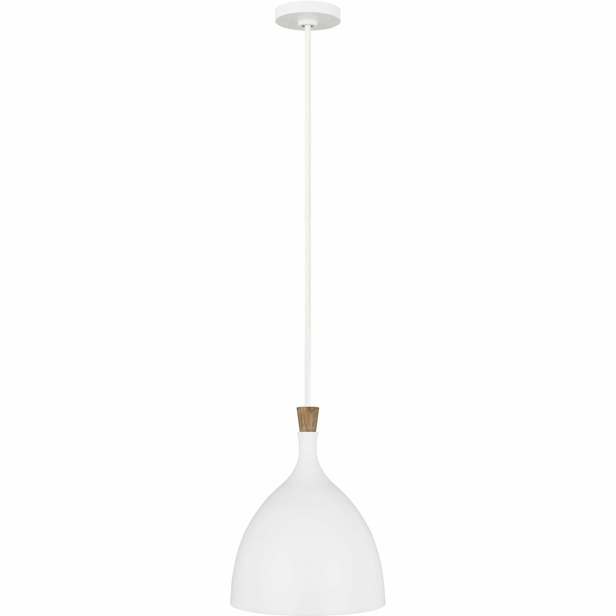 Generation Lighting, Darwin Pendant