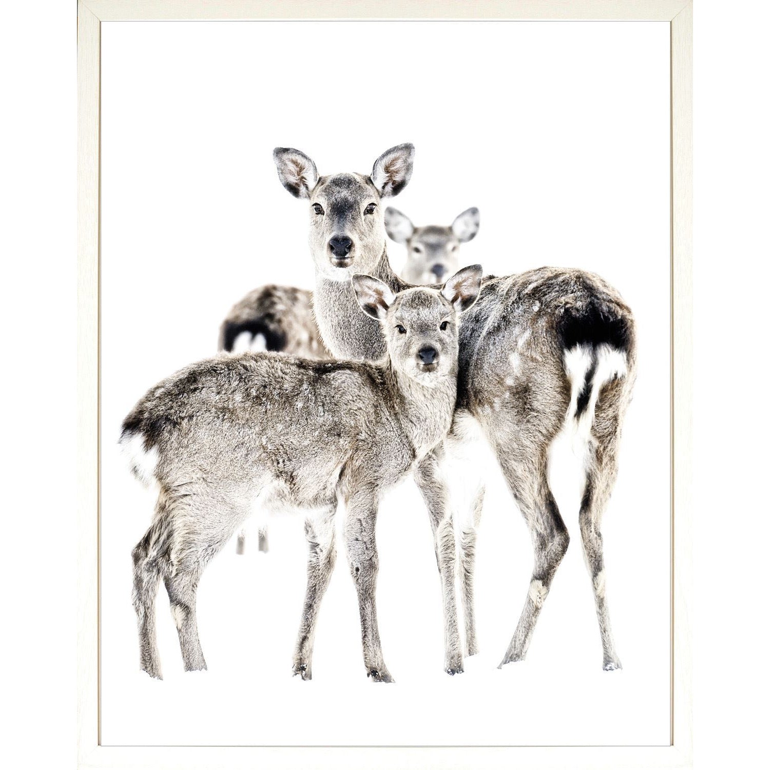 Celadon Art, Deer Family