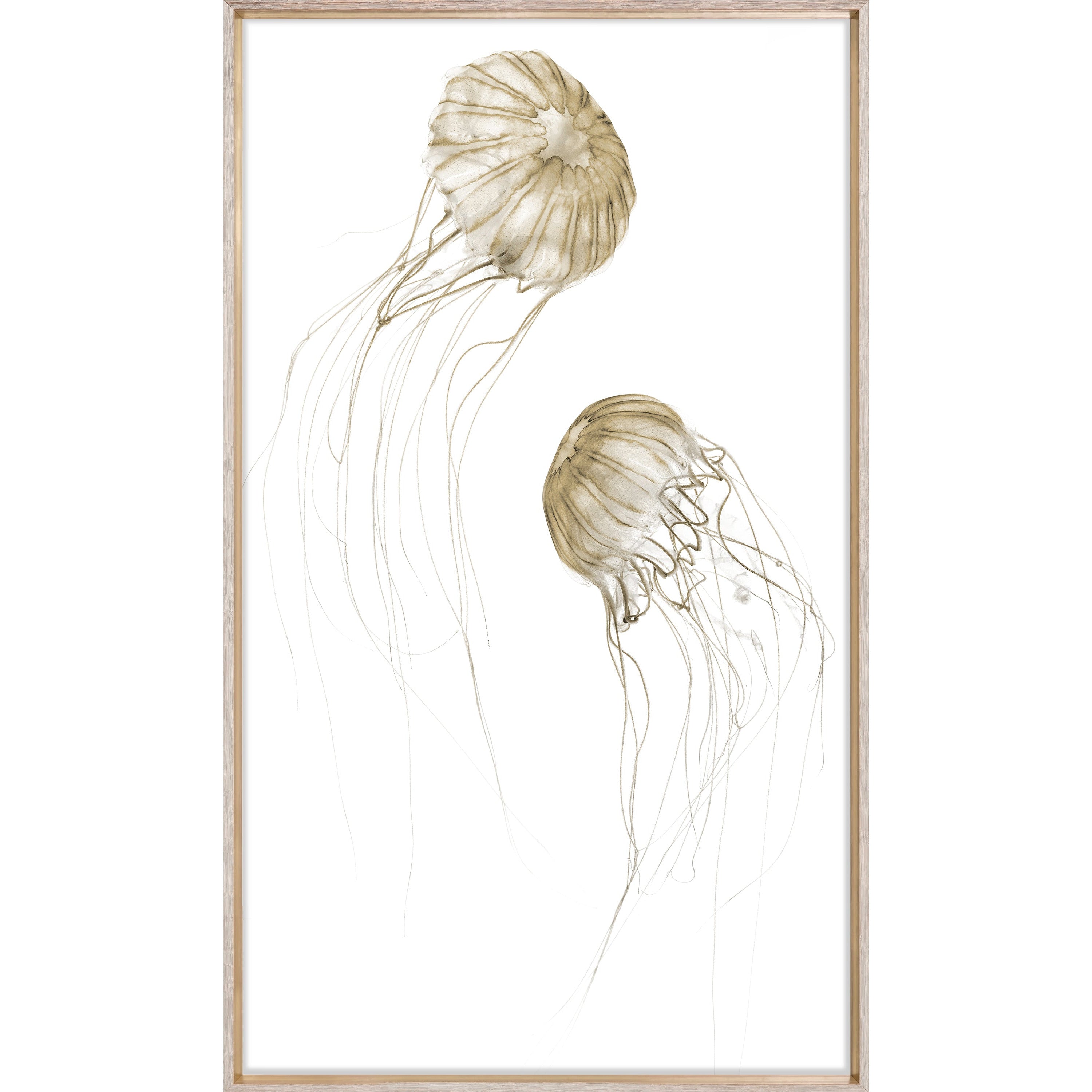 Celadon Art, Jellyfish Duet